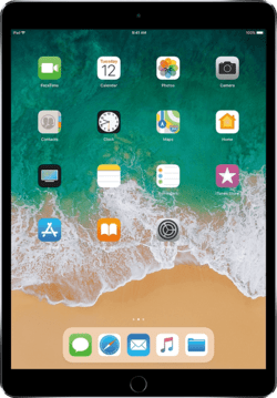 iPad